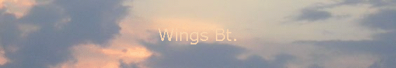 Wings Bt.